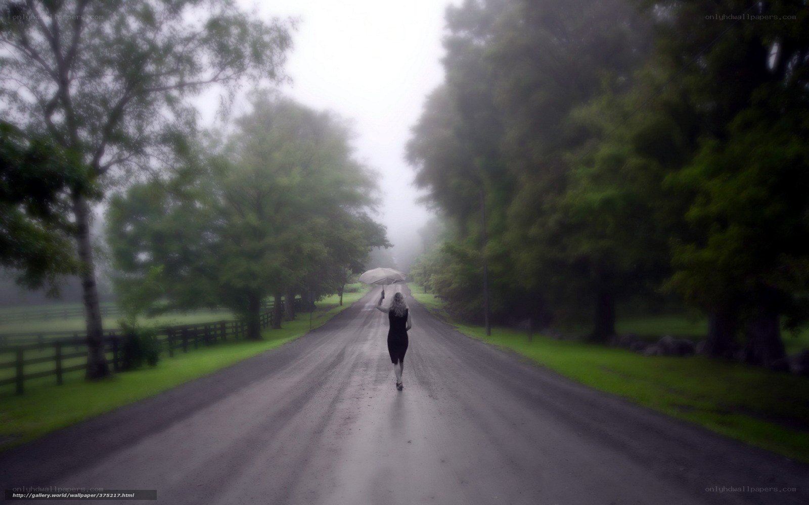 woman walking on a foggy road