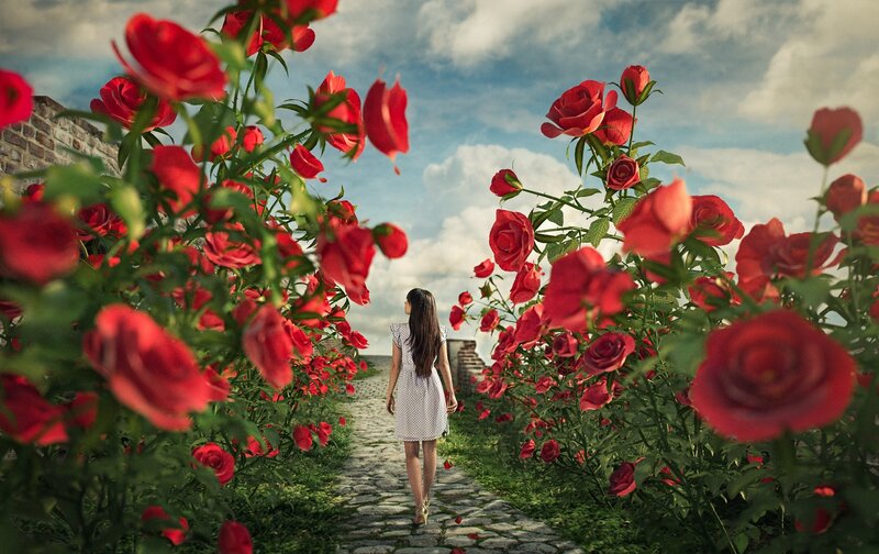 Woman Walking on Path — Red, Serene