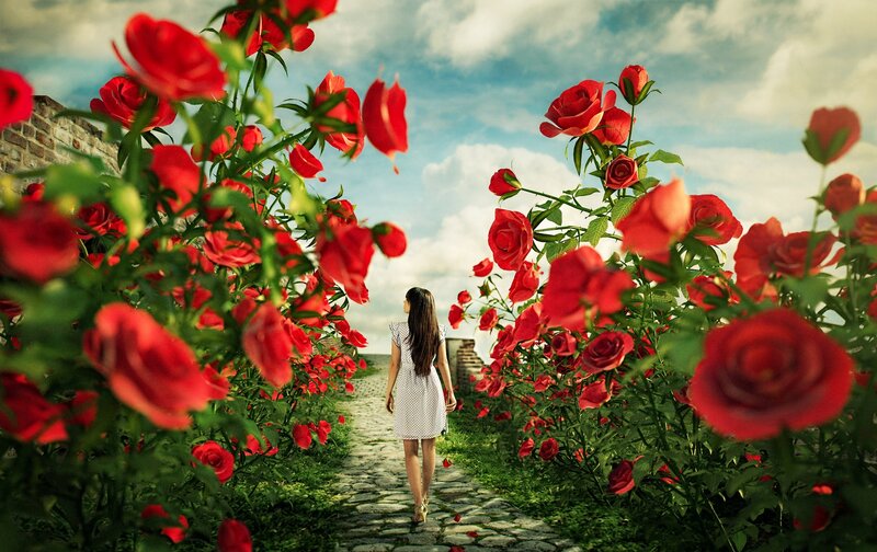 Woman Walking on Path — Red