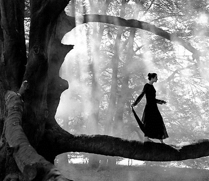 Woman Walking on Tree Branch
