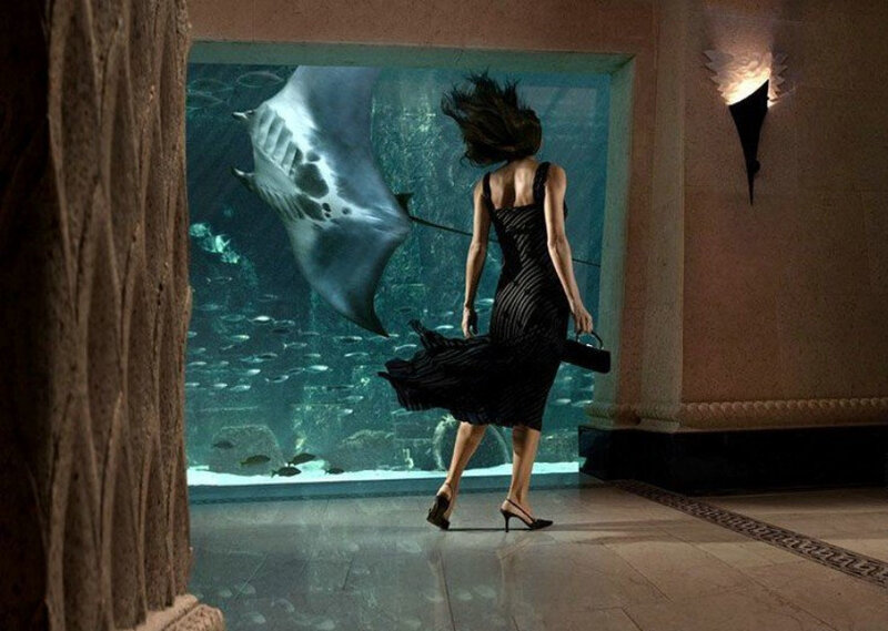 Woman walking past aquarium