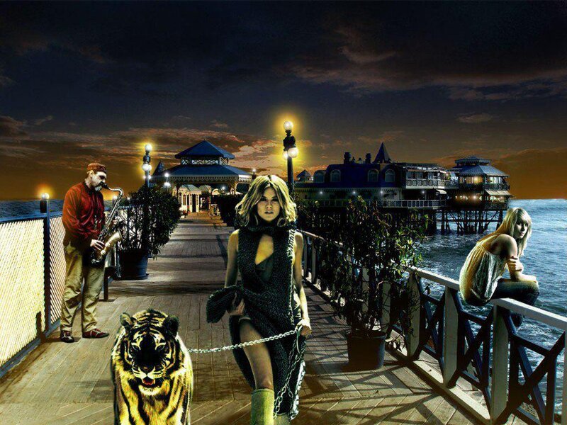 Woman Walking Tiger — Black