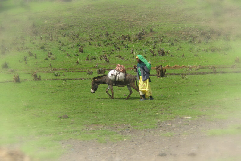 Woman Walking with Donkey