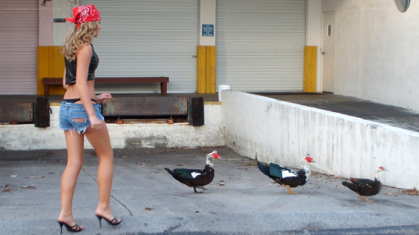 Woman walking with ducks