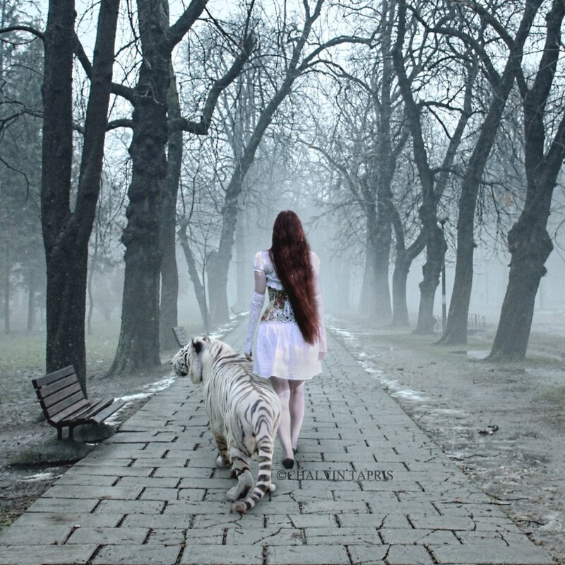 Woman Walking with White Tiger