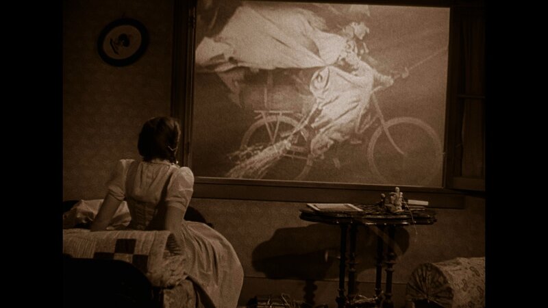 Woman Watching Film