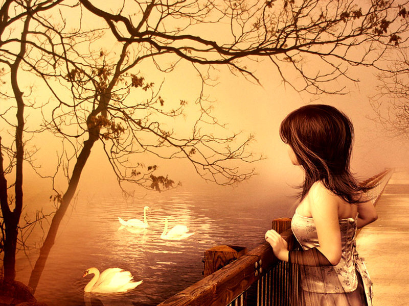 Woman watching swans at dusk