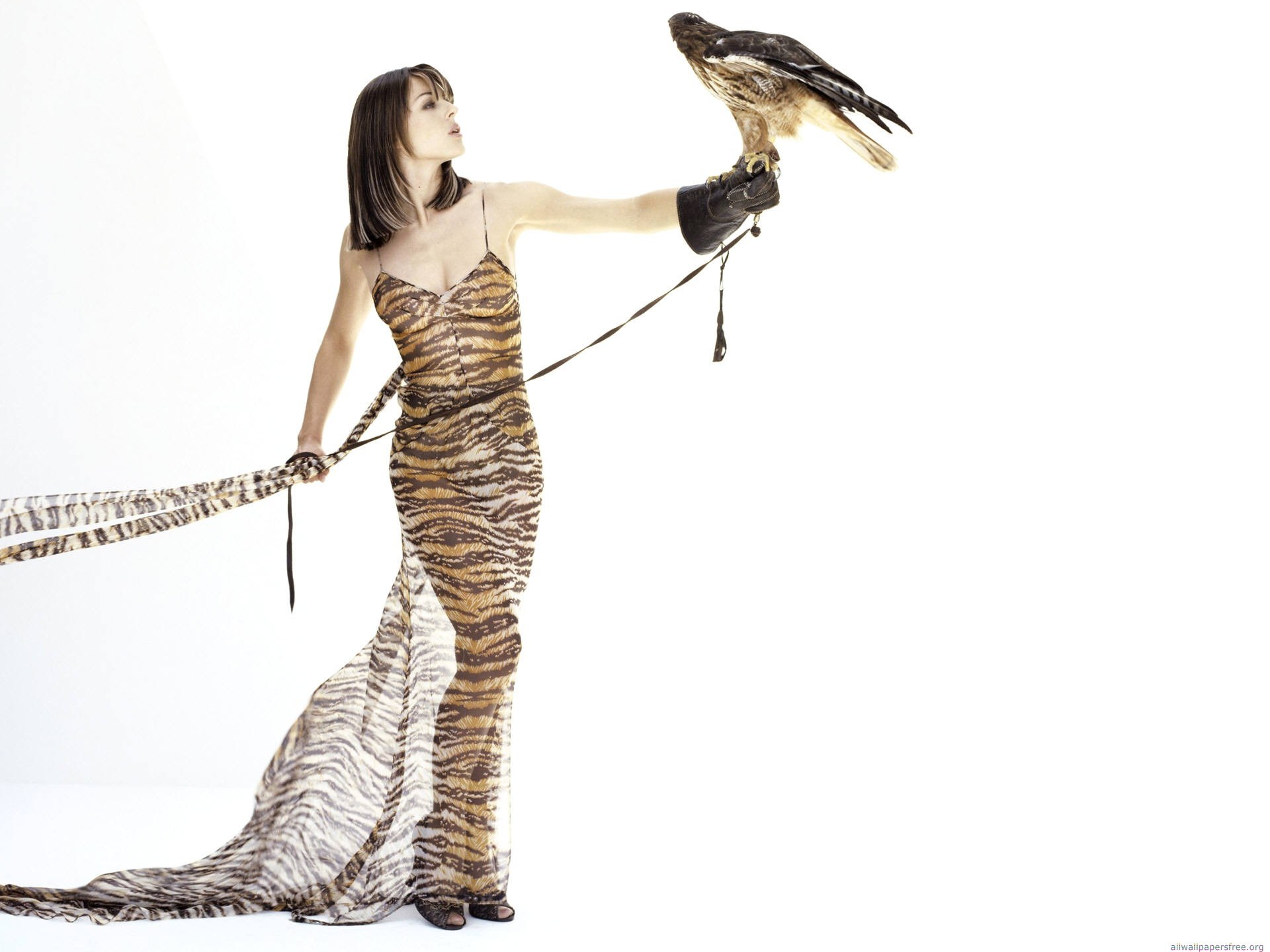 Woman with a falcon