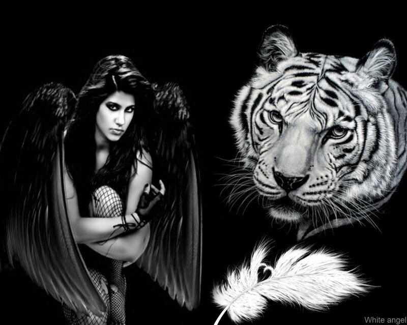 Woman with Angel Wings — Black, Dramatic, Digital Art, Tiger