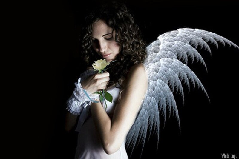 Woman with Angel Wings — Black, Dramatic, Night, Photograph, Rose