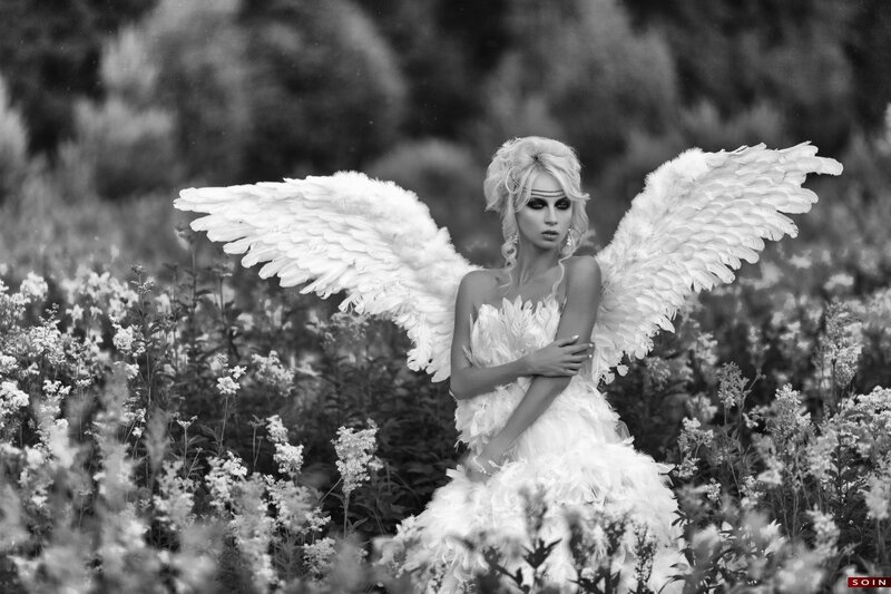 Woman with Angel Wings — Black, Dramatic, Photograph, Flowers