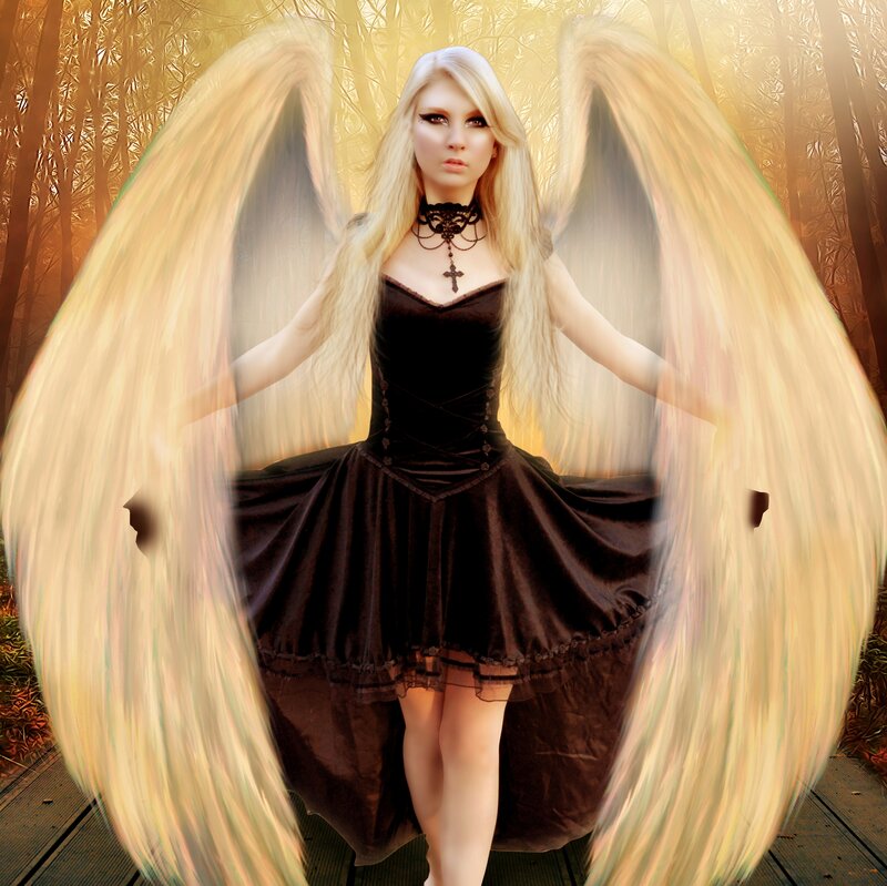 Woman with Angel Wings — Black, Dramatic, Sunset, Digital Art