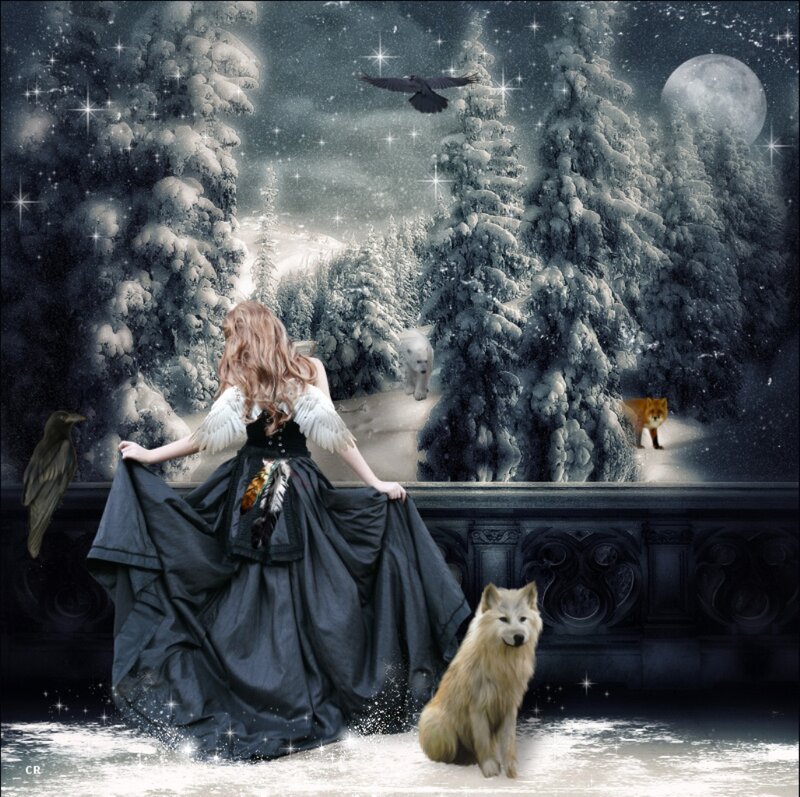 Woman with Angel Wings — Black, Fantasy, Night