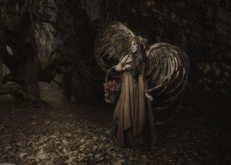 Woman with Angel Wings — Brown, Dramatic, Autumn, Photograph