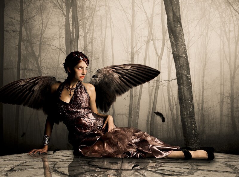 Woman with Angel Wings — Brown, Dramatic, Digital Art, Forest