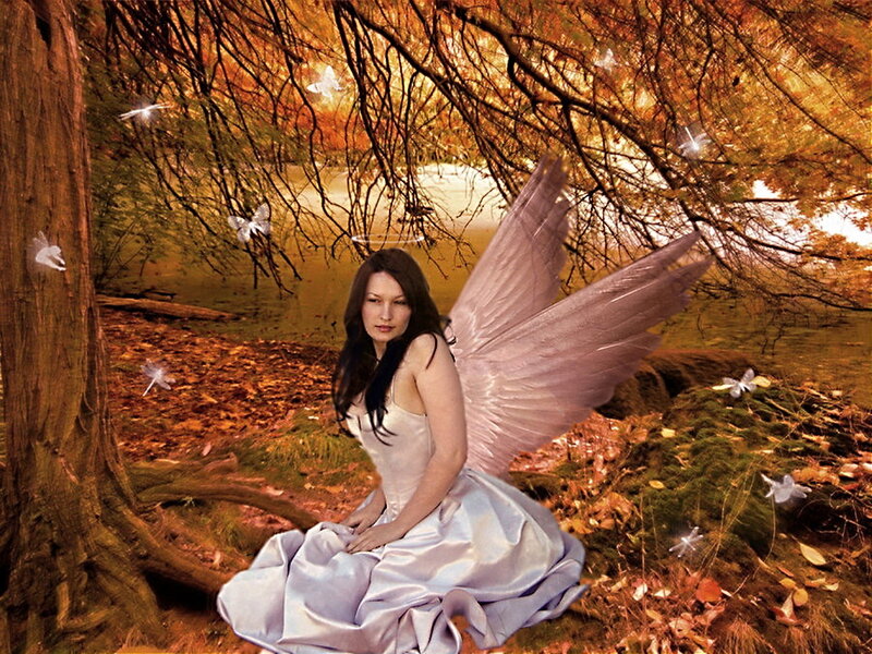 Woman with Angel Wings — Brown, Serene