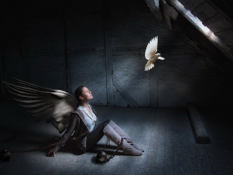 Woman with Angel Wings — Gray, Dramatic, Digital Art, Dove