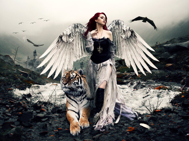 Woman with Angel Wings — Gray, Dramatic, Digital Art, Tiger