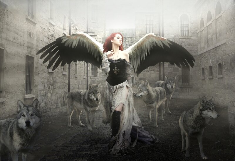 Woman with Angel Wings — Gray, Dramatic, Digital Art, Wolves