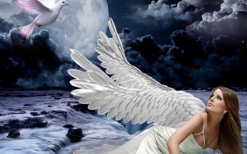 Woman with Angel Wings — White, Dramatic, Night, Digital Art, Dove