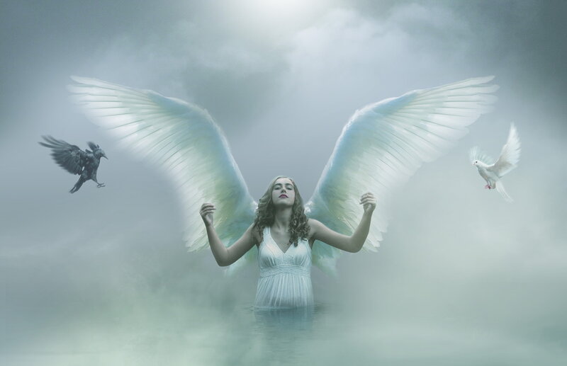 Woman with Angel Wings — White, Serene, Digital Art, Bird