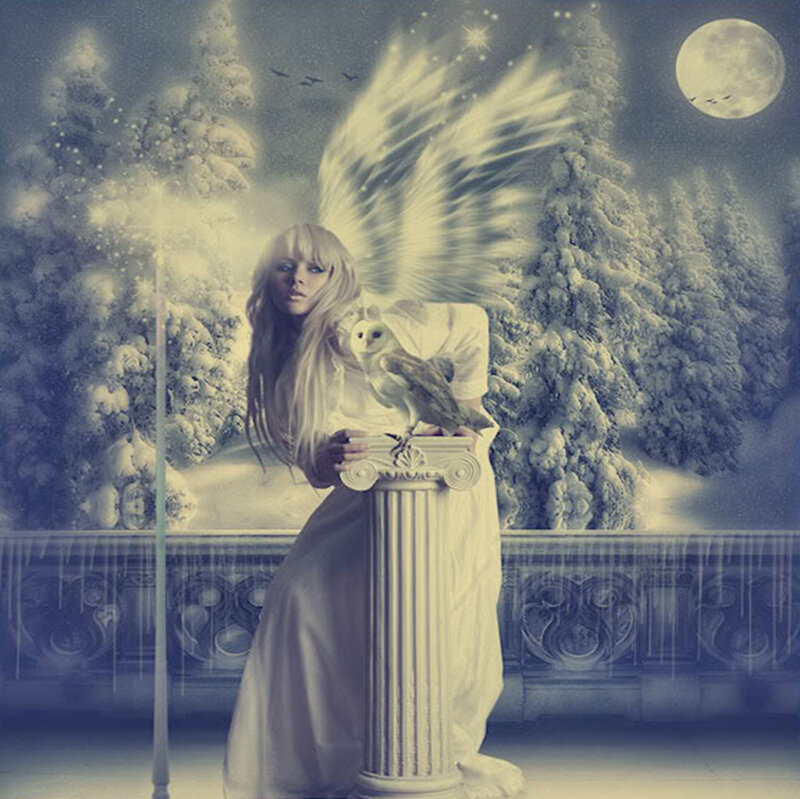 Woman with Angel Wings — White, Serene, Night, Digital Art, Owl