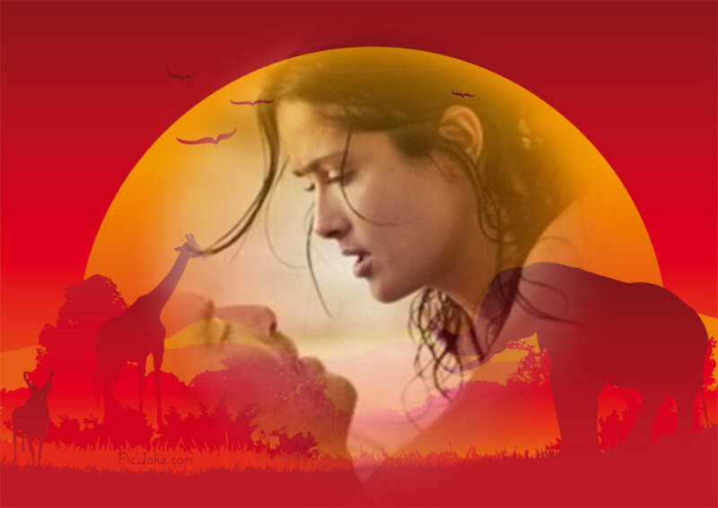 woman with animals at sunset
