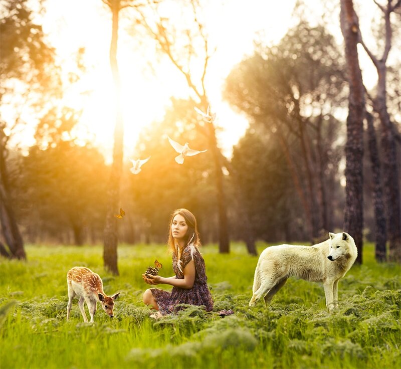 Woman with Animals — Green, Serene, Sunset