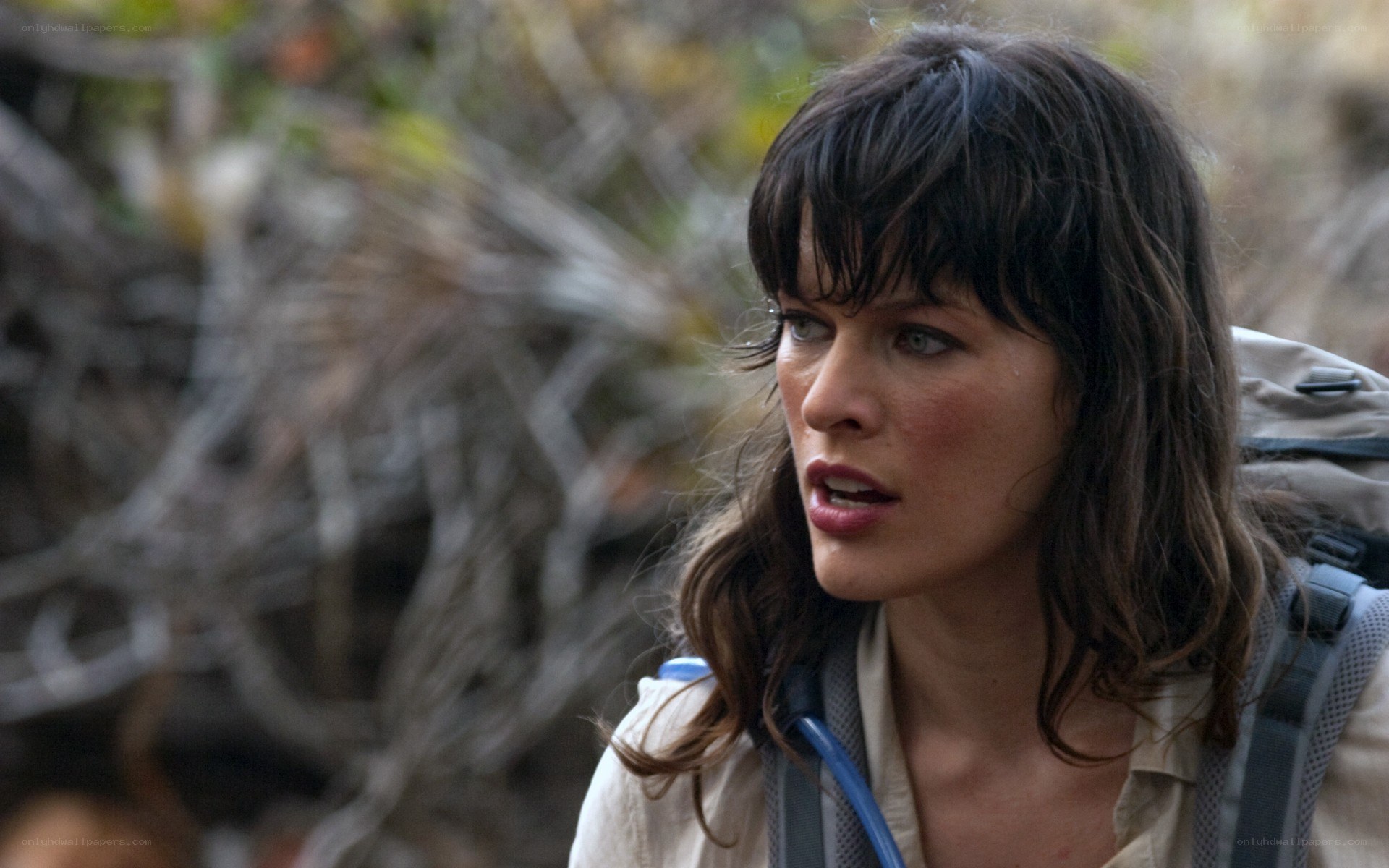 woman with backpack in forest