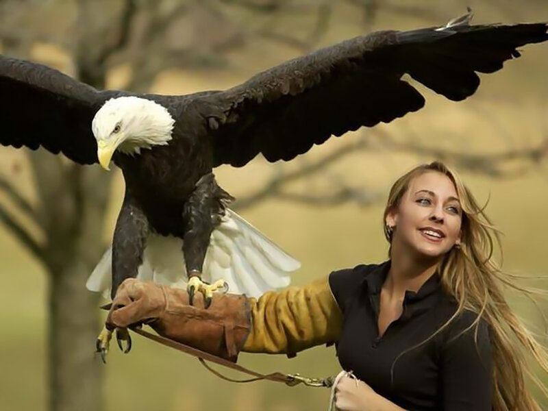 Woman with bald eagle on glove