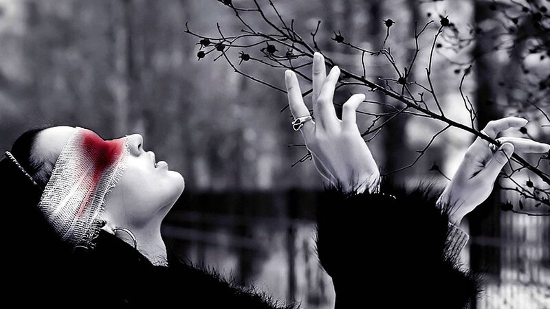 woman with bandaged eye reaching for branch