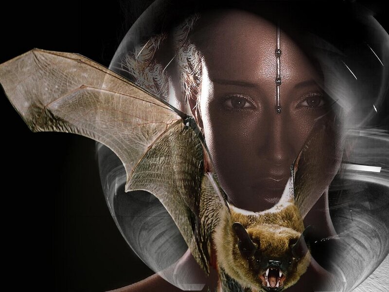 woman with bat overlay