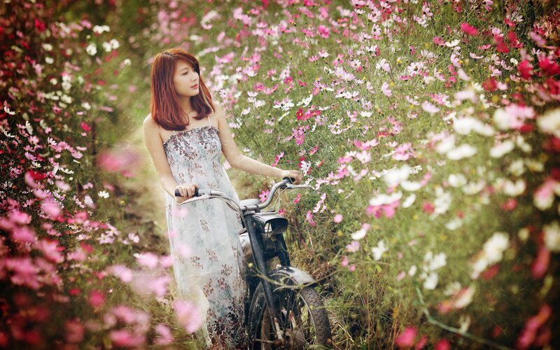 Woman with Bicycle — Pink, Serene, Spring