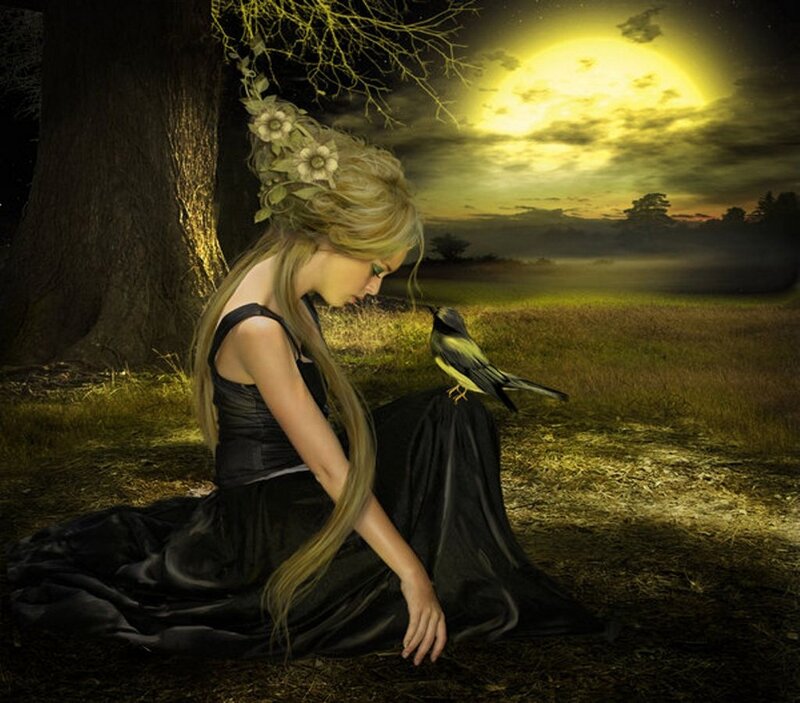 Woman with Bird — Black, Serene