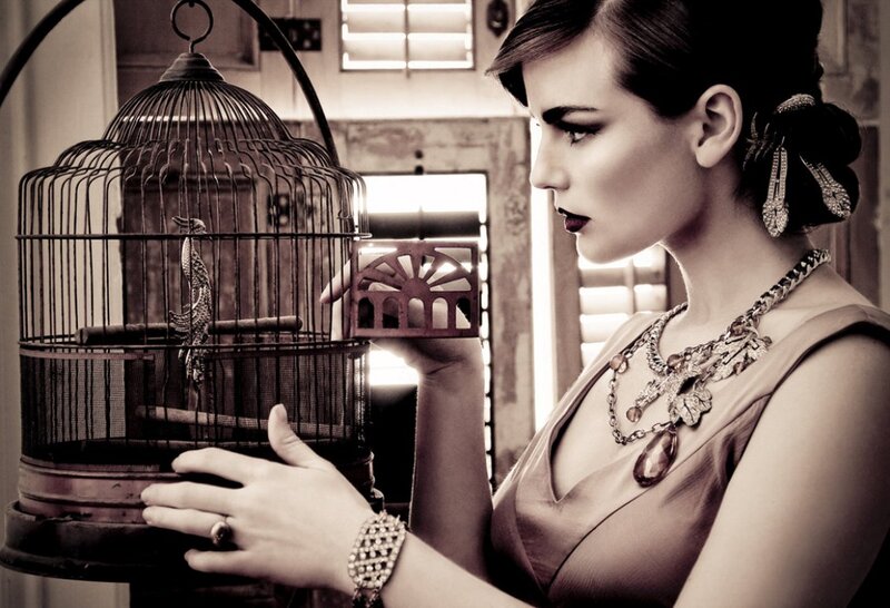 Woman with Birdcage — Brown, Dramatic