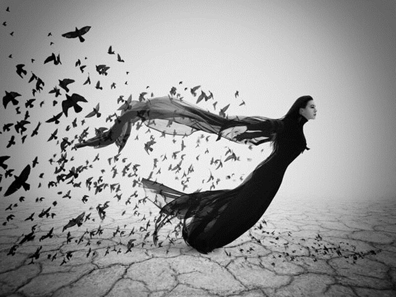 Woman with Birds — Black, Dramatic