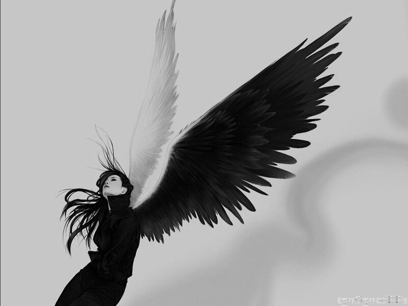 Woman with Black and White Wings — Dramatic