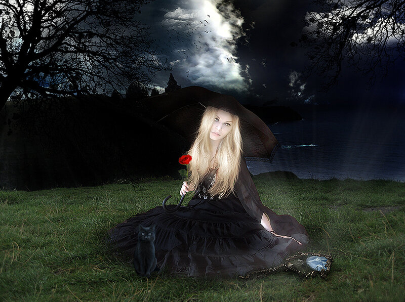 woman with black cat and rose