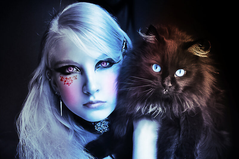 Woman with Black Cat — Blue, Dramatic, Night, Photograph