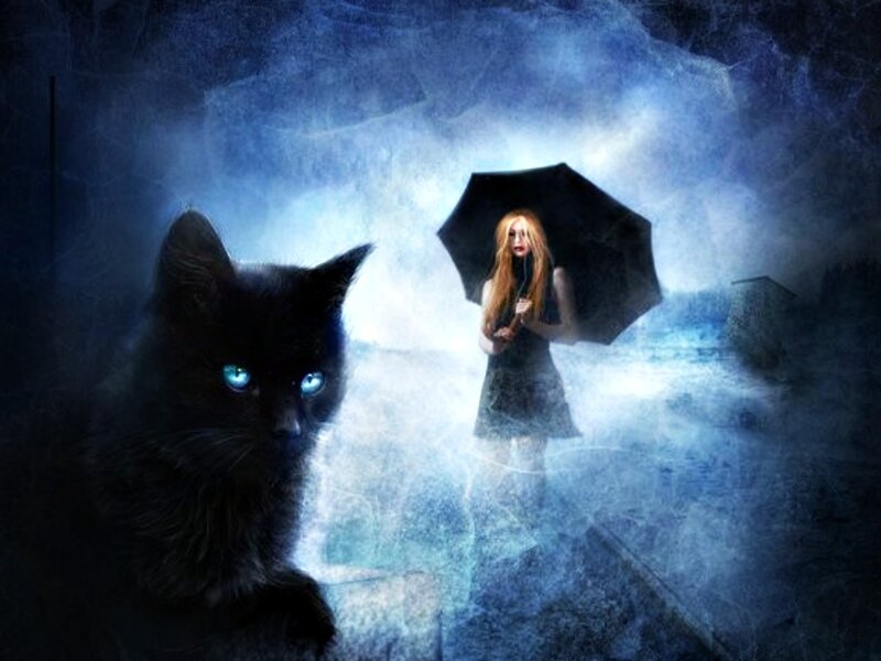 Woman with Black Cat — Blue, Mysterious, Night, Digital Art, Umbrella