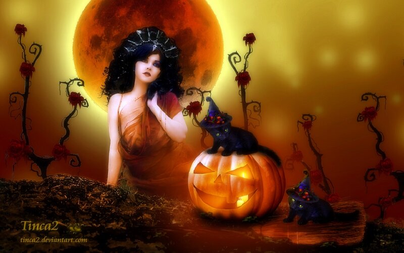 Woman with Black Cat — Orange, Dramatic, Night