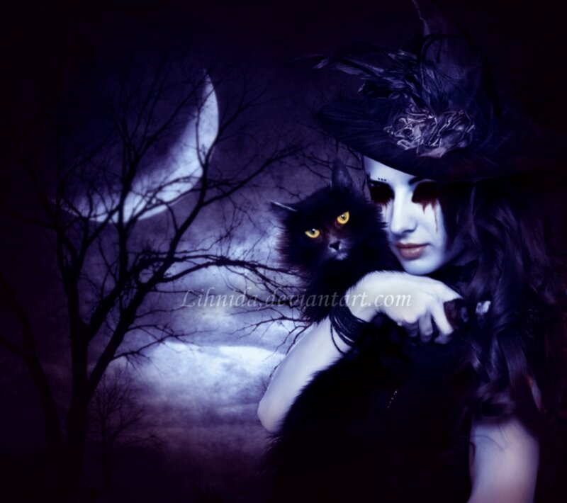 Woman with Black Cat — Purple, Dark, Night