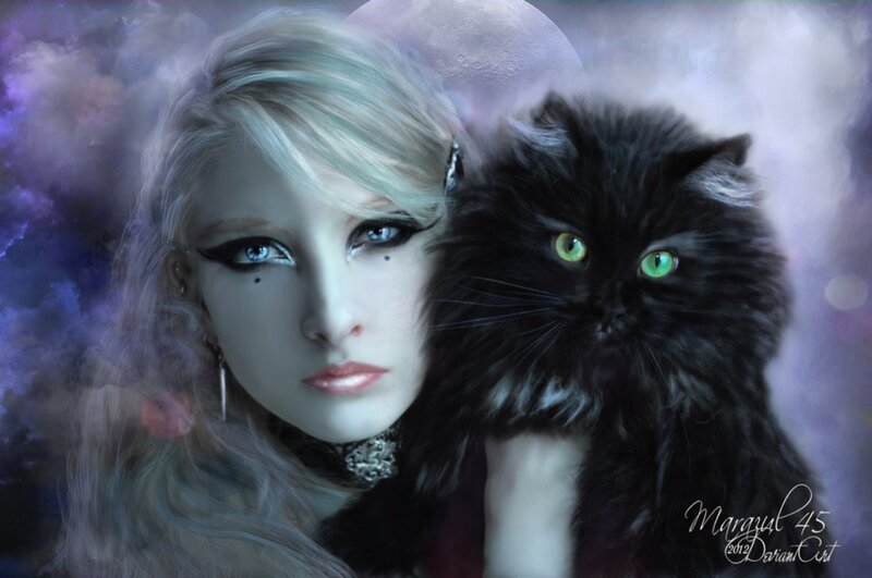 Woman with Black Cat — Purple, Dramatic, Night