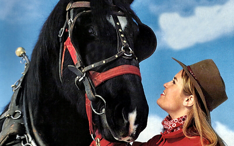 Woman with Black Horse — Blue