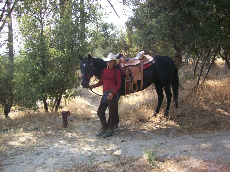 Woman with Black Horse — Brown, Calm, Afternoon