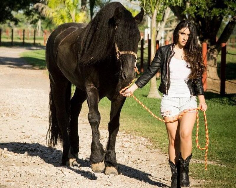 Woman with Black Horse — Calm, Afternoon, Photograph, Leather Jacket