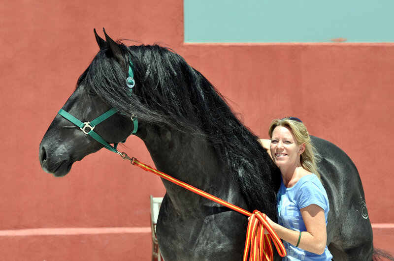 Woman with Black Horse — Calm