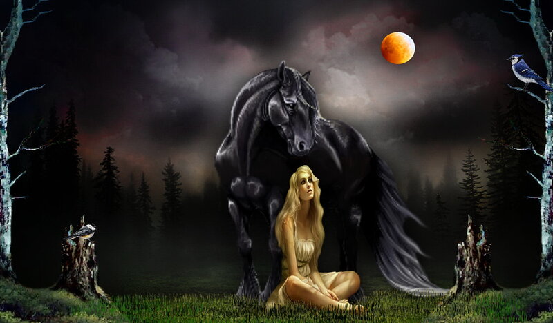 Woman with Black Horse — Dramatic, Night, Digital Art