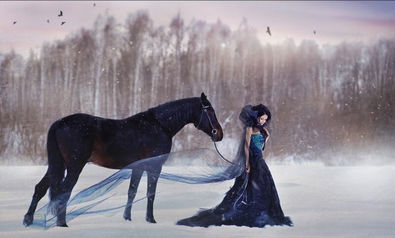 Woman with Black Horse — Dramatic, Winter, Digital Art