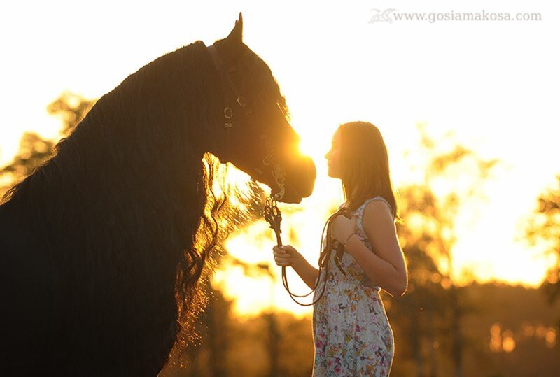 Woman with Black Horse — Gold